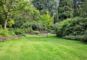 Optimiser l'expérience du jardin à Le Renouard